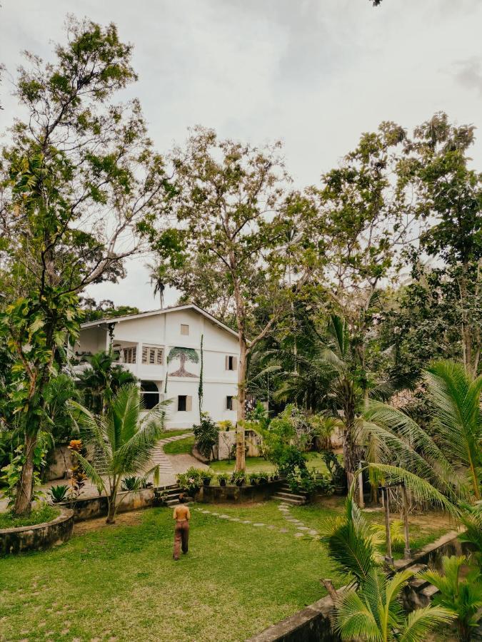 坦加拉 Kirinuga Boutique Retreat酒店 外观 照片